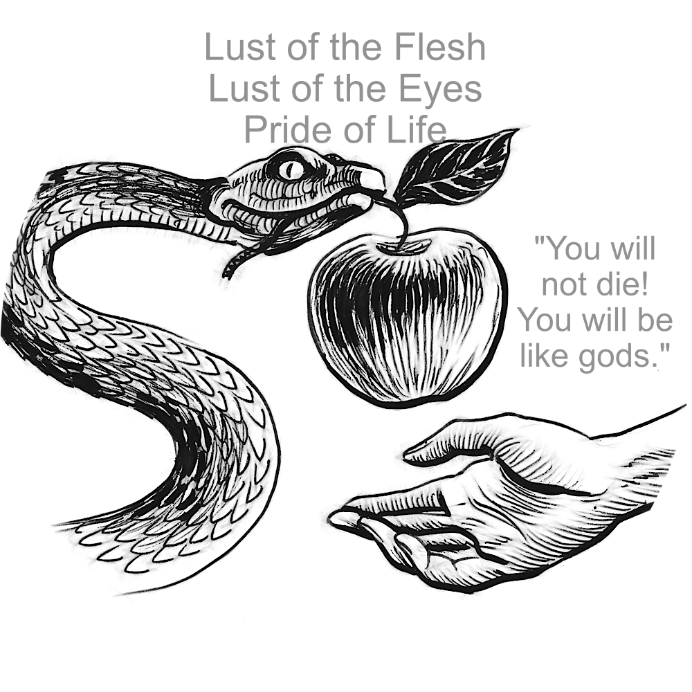 With each strike of the whip (flagrum), I can imagine the accusing voice of the devil announcing my sins which cause Your suffering. I pray for the grace to turn from sin and avoid temptation.